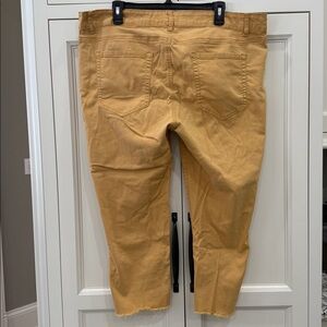 SKYE’s the Limit Brand Gold Color Capris Raw Edge Hem Women’s Size 20W.